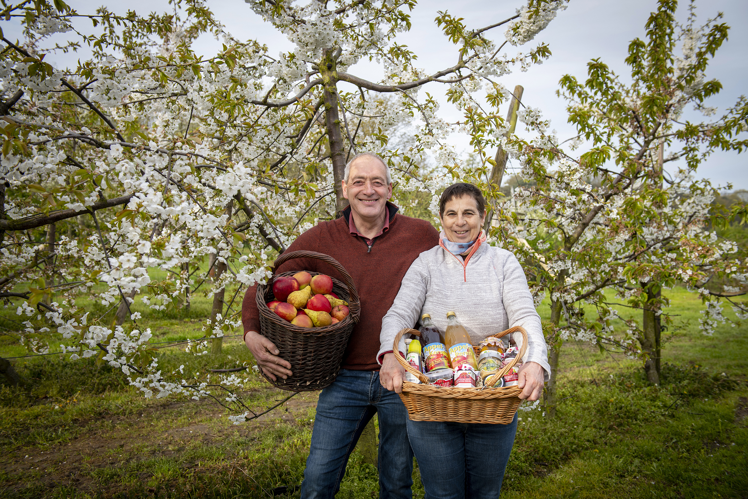 Photo de Exploitation fruitière familiale